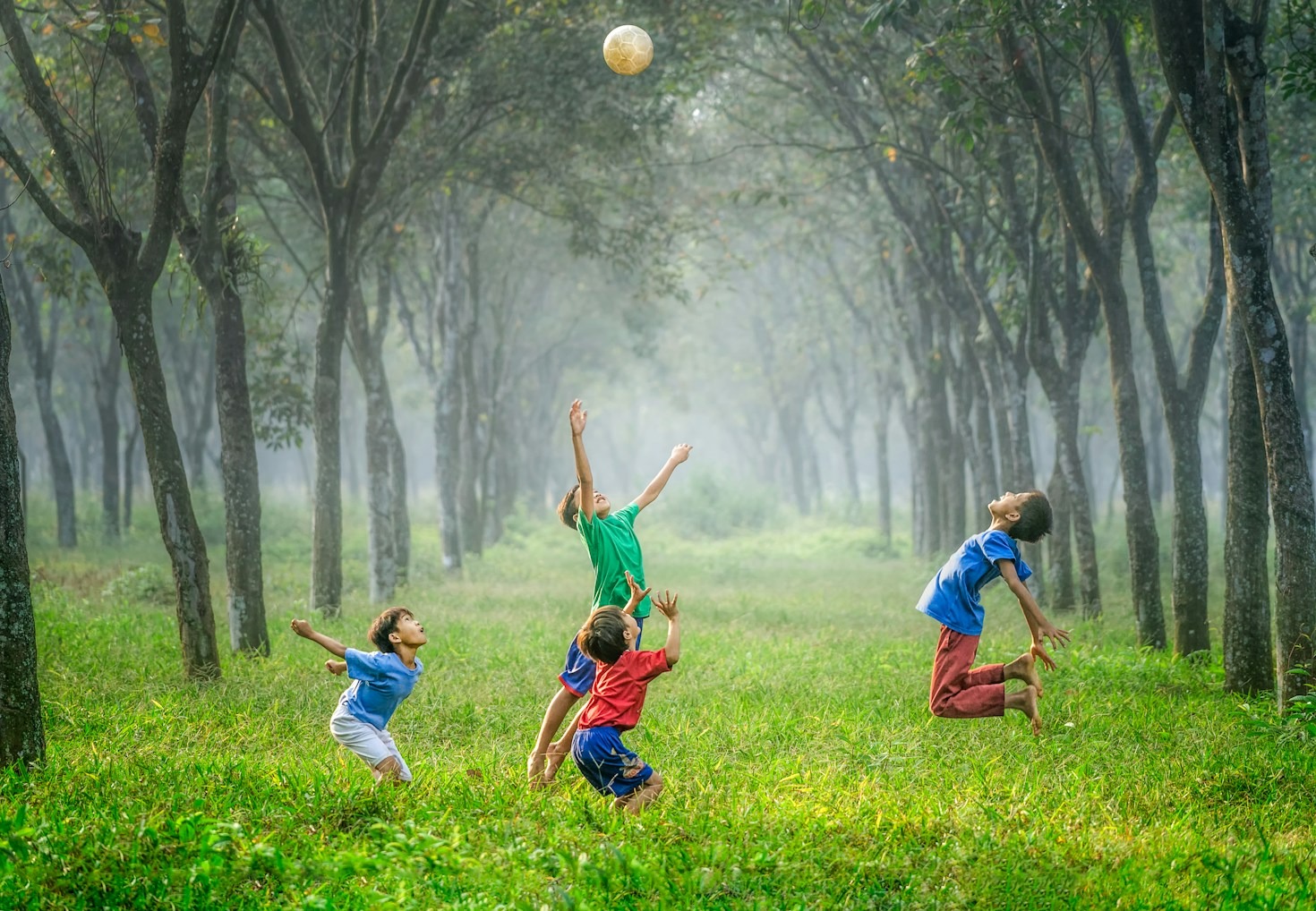 The Transformative Power of Early Childhood Education